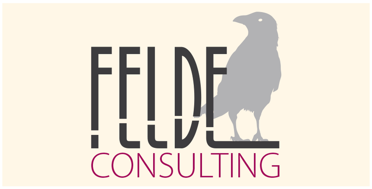 Logo Felde Consulting